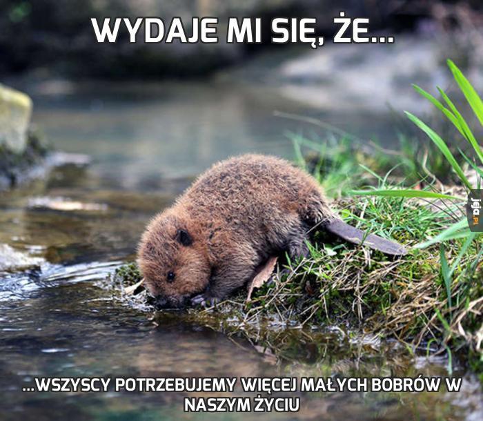 Wydaje mi się, że...