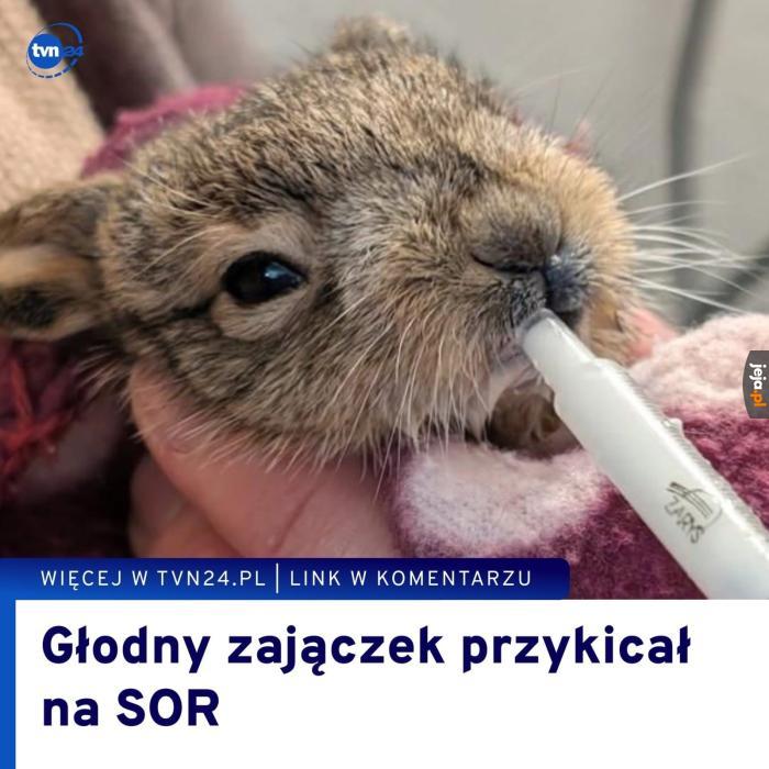Słodko