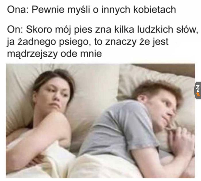 Fakty