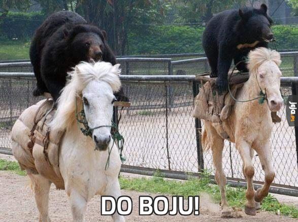 Do boju!