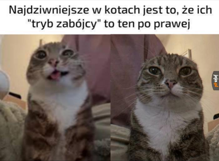 Ja chcę jeszcze raz