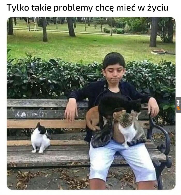 Tylko pozazdrościć
