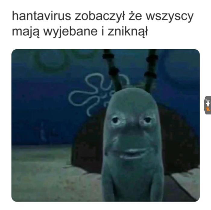 Kurde łatwo poszło