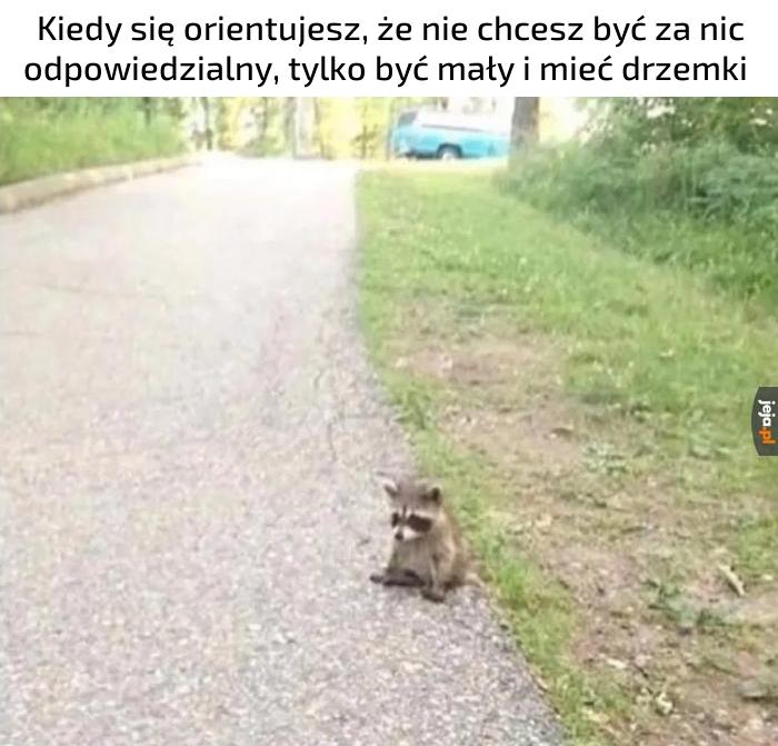 Tęsknię za prostymi czasami