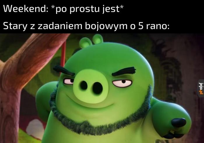 Oj tam nie marudź synu