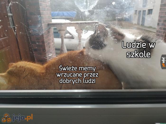 Doceńmy ich