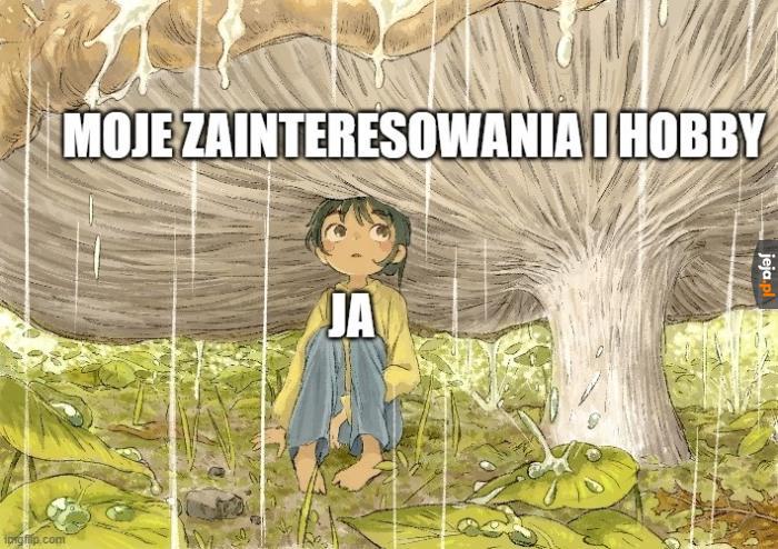Dzięki nim życie nabiera kolorów