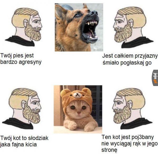 Rel