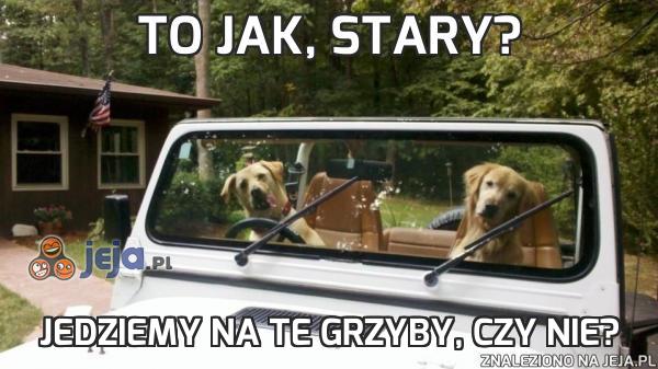 To jak, stary?