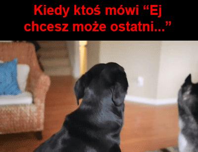 Tak, chcę!