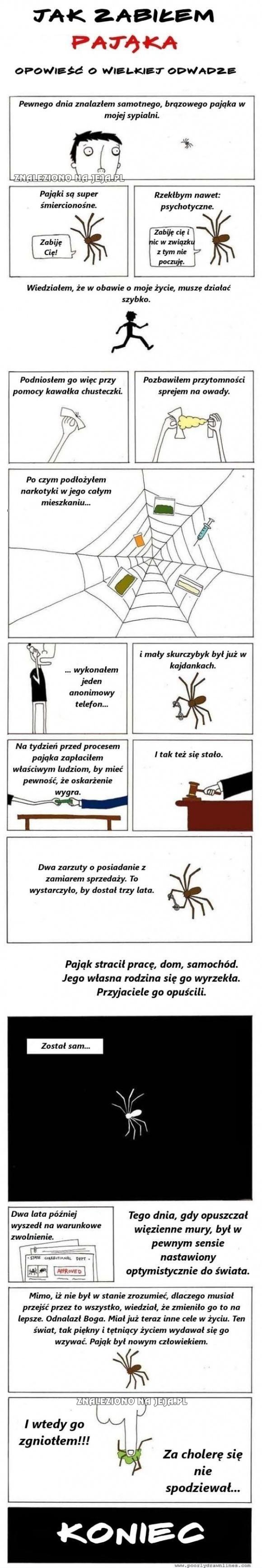 Sposób na pająka