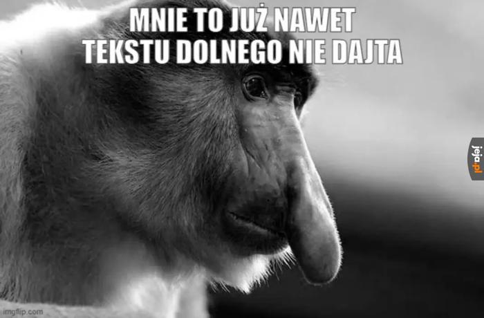 Janusz
