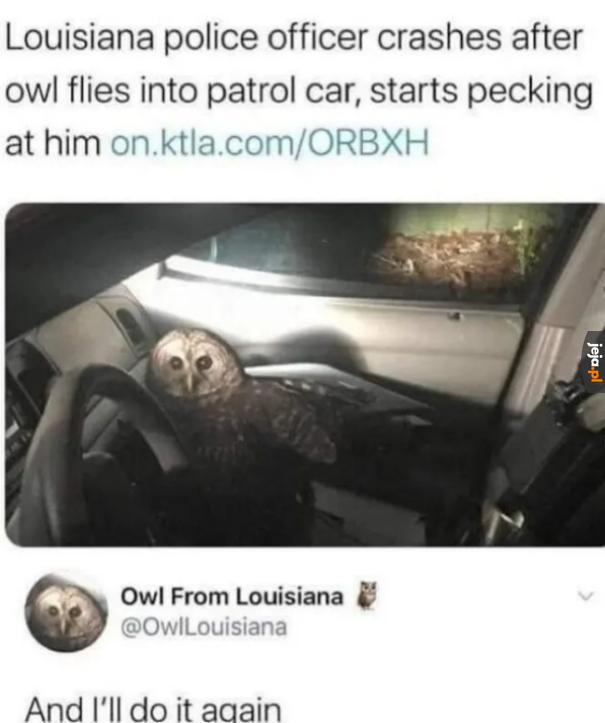 Ona wróci