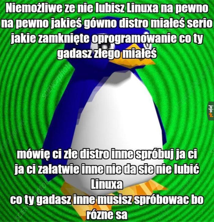 No weź spróbuj