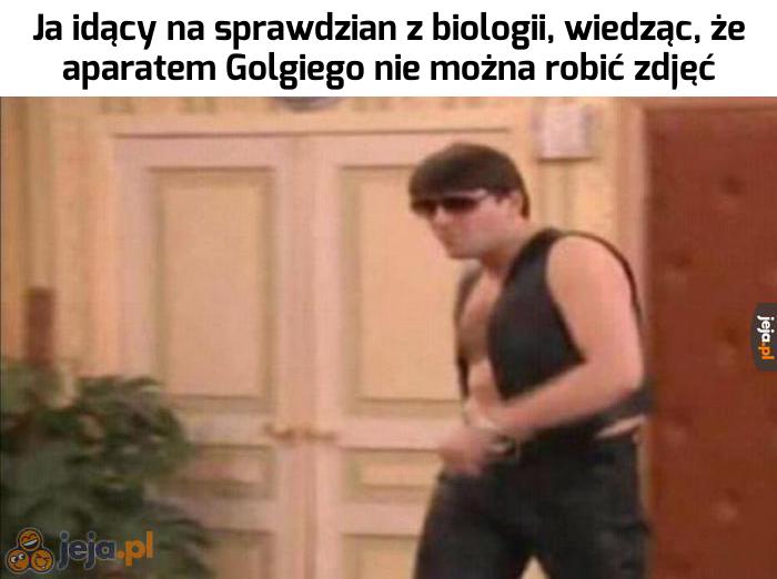 Oczywiście, że zdam