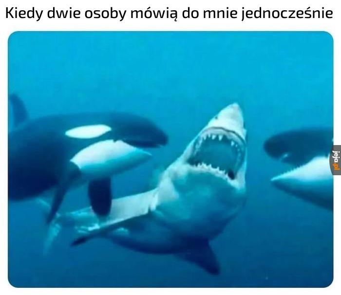 To o dwie za dużo
