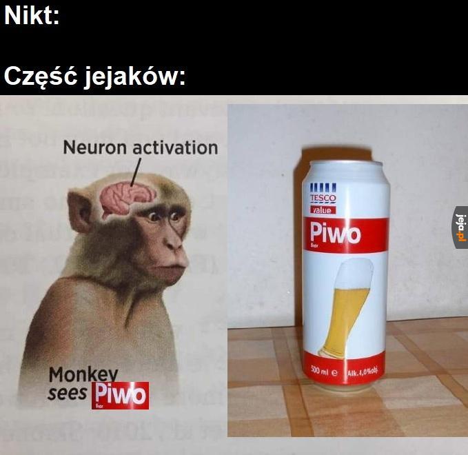 Piwo