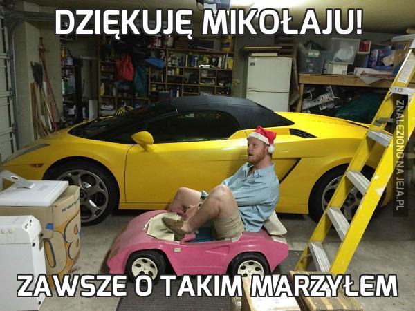 Dziękuję Mikołaju!