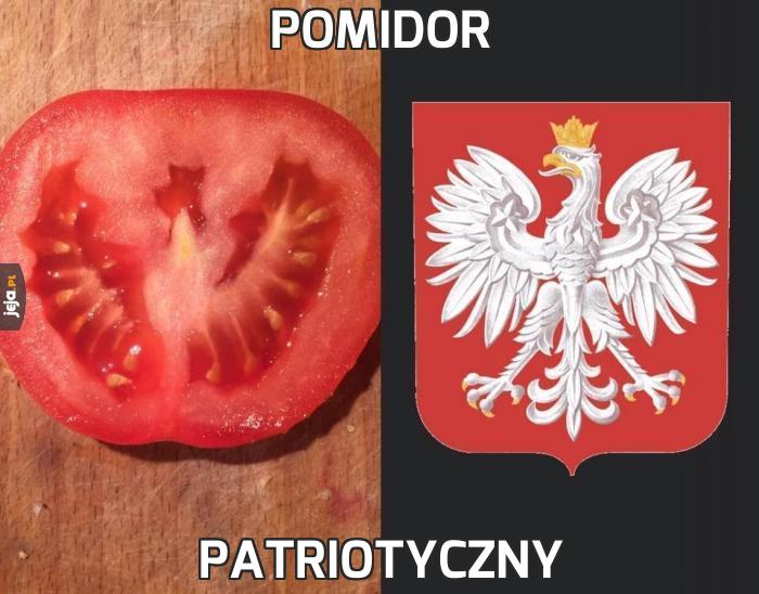 Pomidor patriotyczny