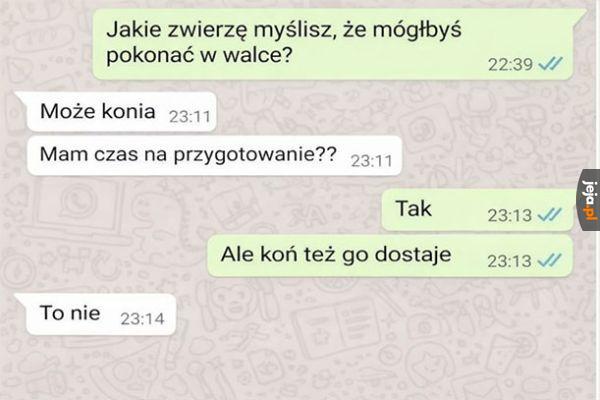 To zmienia postać rzeczy