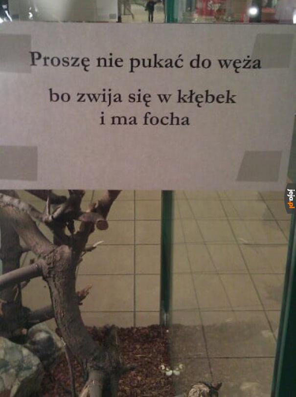 Biedny wąż