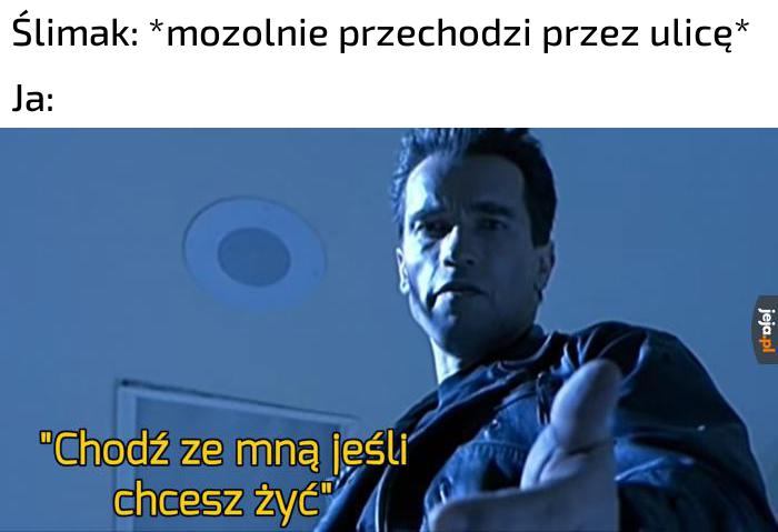 Zapewne uchroni go to przed rozjechaniem