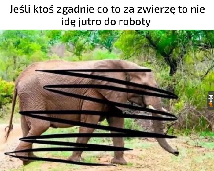 Jestem bezrobotny