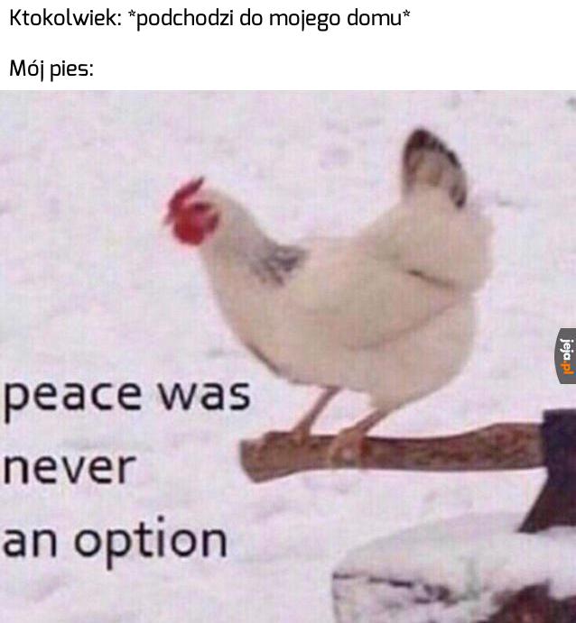 Do ataku!