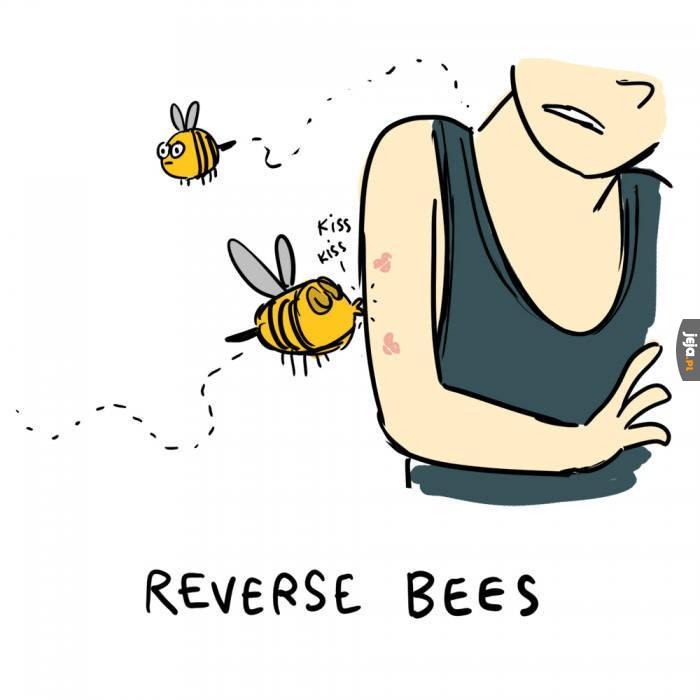 Pszczoły na opak