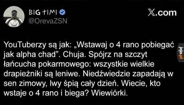 Fakty