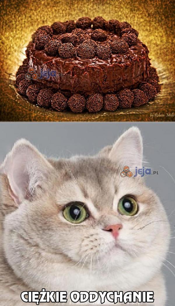 Potrójnie czekoladowy tort