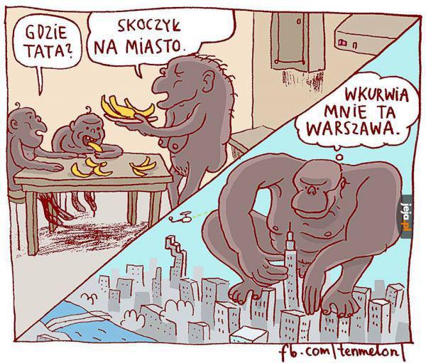 Dzień jak co dzień