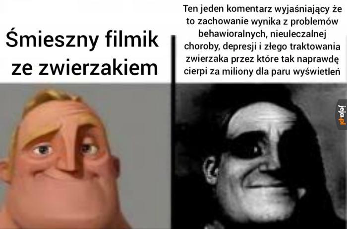 I to wszystko za pół parówki