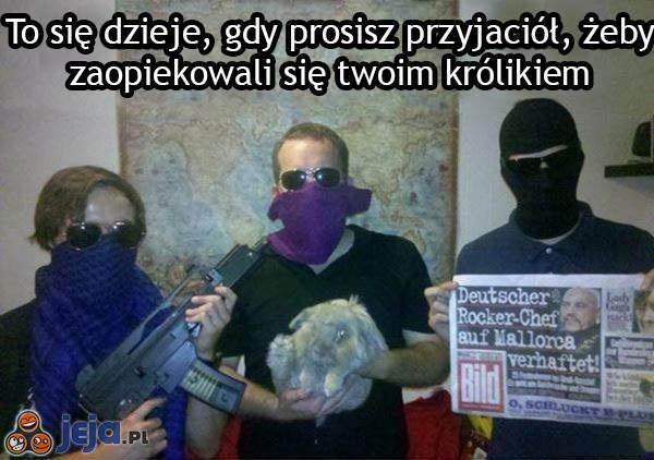 Gdy przyjaciele opiekują się królikiem