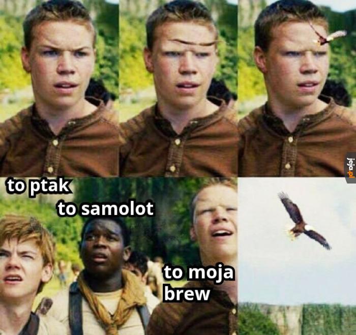 Imponujące spojrzenie