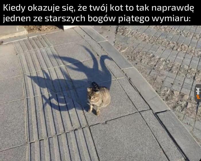 Zaczynam się obawiać