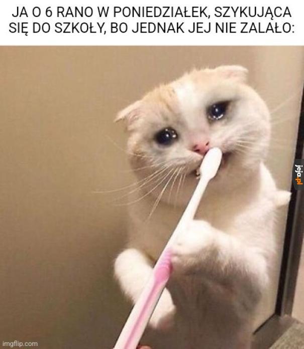 Jeszcze jest szansa