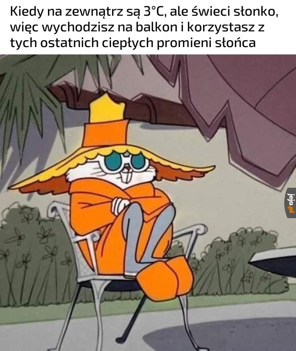 Ostatnie promyczki