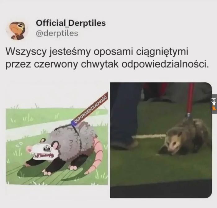 Na tym polega odpowiedzialność