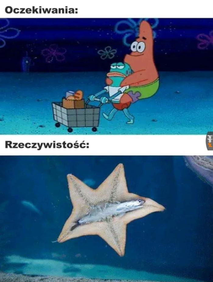Ciekawe kto był pierwszy