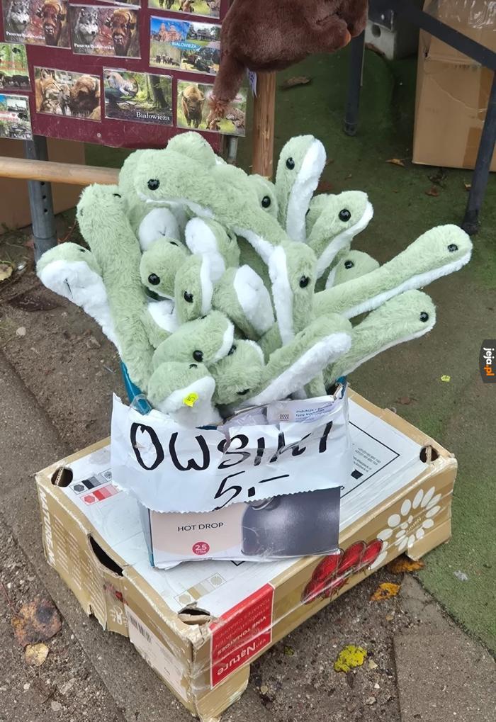 Idealne pluszaki nie istnie...