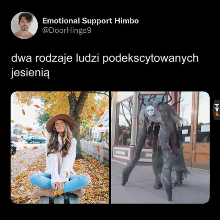Którym jesteś?