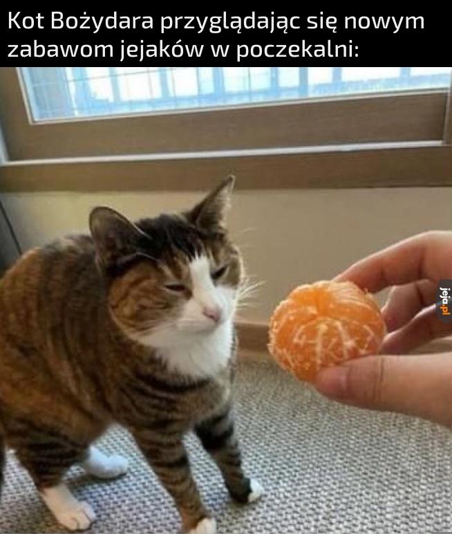 Zaraz zbije ich na kwaśną pomarańczę