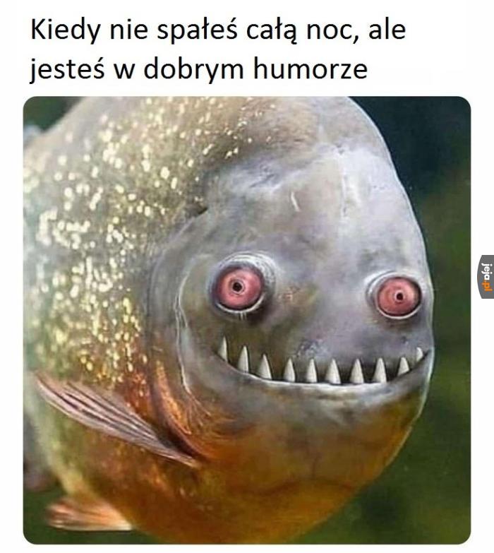 Zmęczony ale szczęśliwy