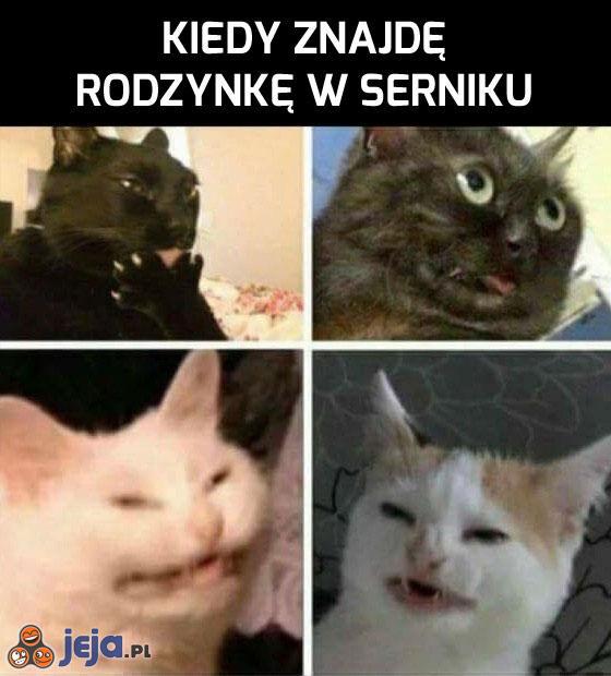 Rodzynka w serniku