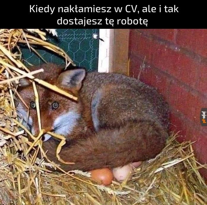 Ważne kto wychowa