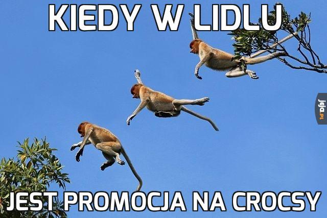 Janusz, lecim!