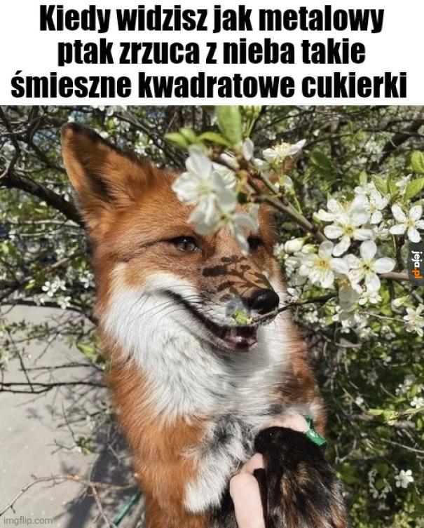 Mmm dobre chrupkie takie
