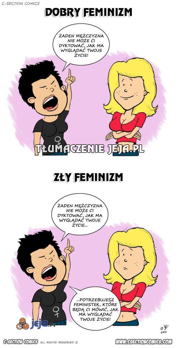 Feminizm - szczegół robi różnicę