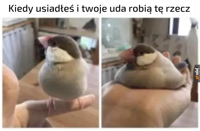 Rozlały się